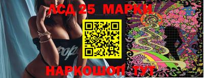 прущие грибы Донской