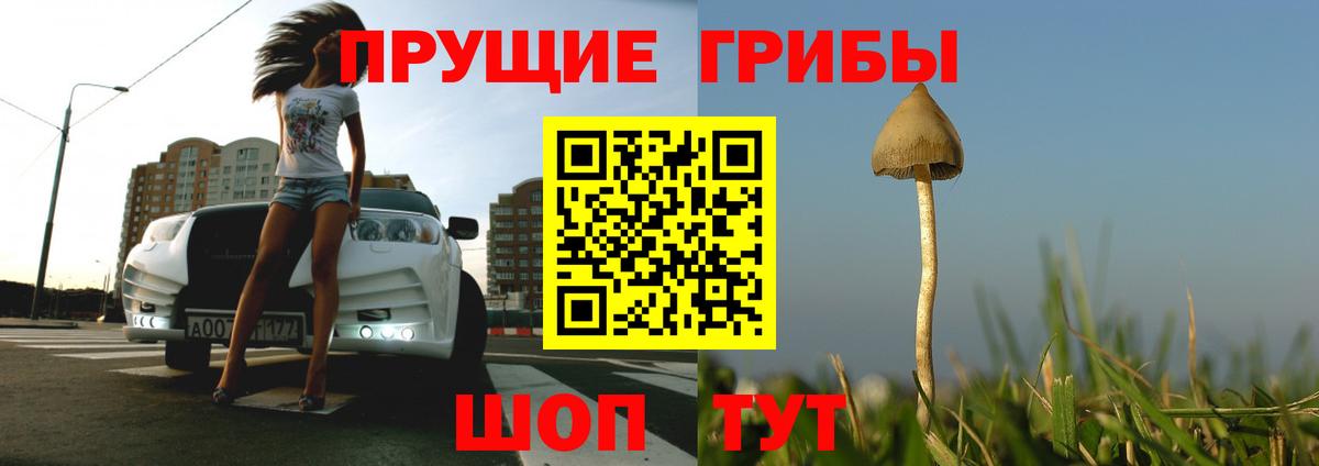Галлюциногенные грибы мицелий Мурманск