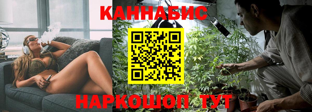 Шишки марихуана планчик Мурманск